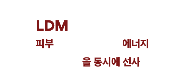엔의원 LDM