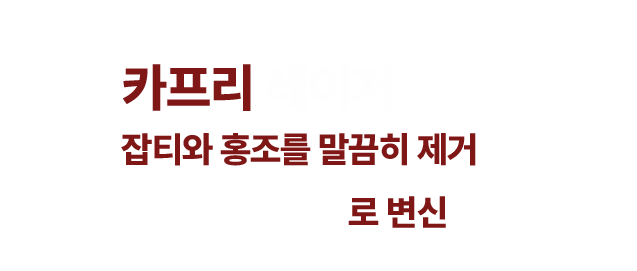 카프리레이저 소개