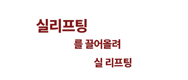 실리프팅 소개