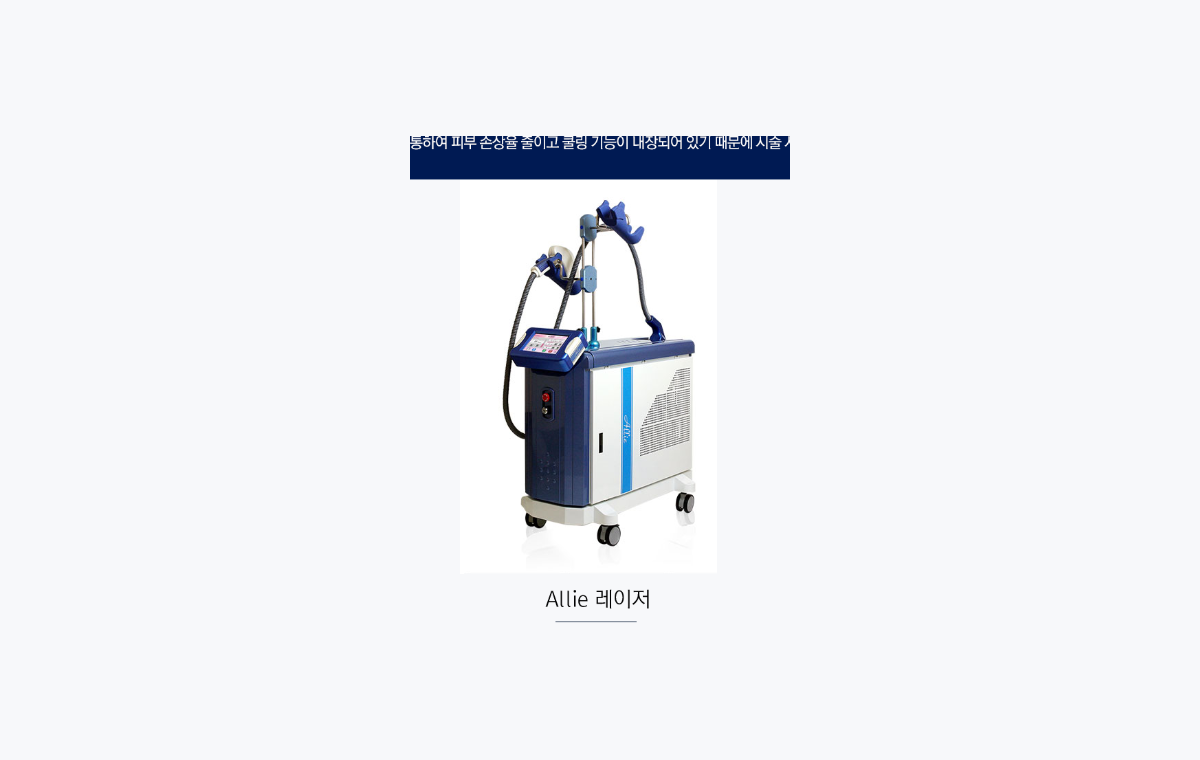 엔의원 엘리