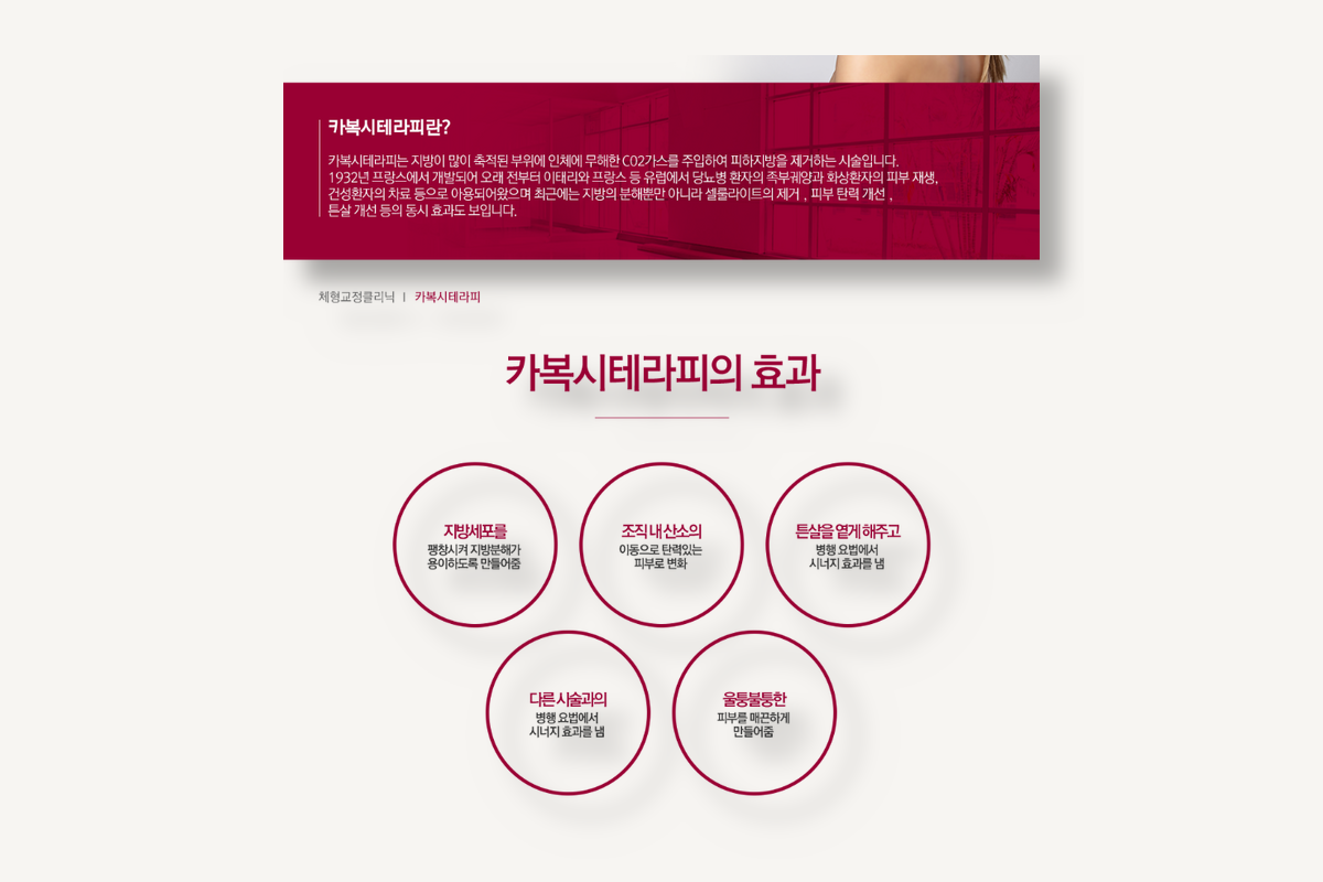 카복시테라피